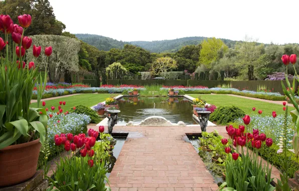Nature, design, pond, photo, landscape, garden, CA, tulips
