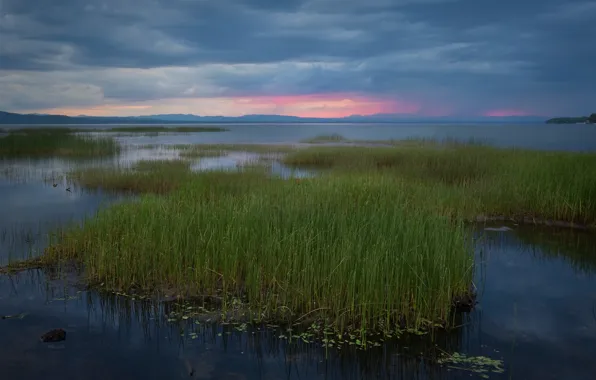 The sky, grass, sunset, clouds, lake, shore, the evening, reed