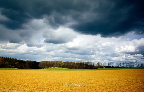 Picture field, the sky, landscape, clouds, nature