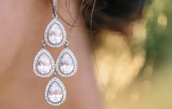 Decoration, earrings, earrings