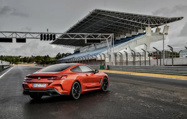 Coupe, track, BMW, Coupe, tribune, 2018, 8-Series, dark orange