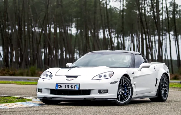 Road, white, trees, Chevrolet, white, corvette, zr1, road