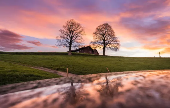 Trees, house, river, shore