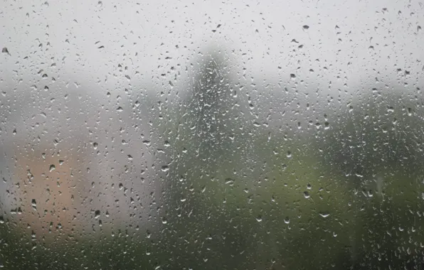 Summer, glass, water, drops, surface, reflection, rain, after the rain