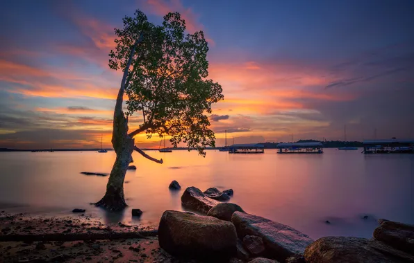 Picture clouds, trees, Singapore, glow, Quay Changi
