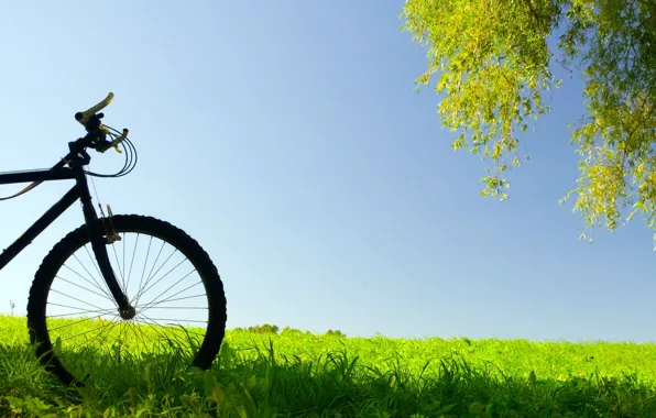 Greens, the sky, grass, leaves, bike, background, tree, widescreen