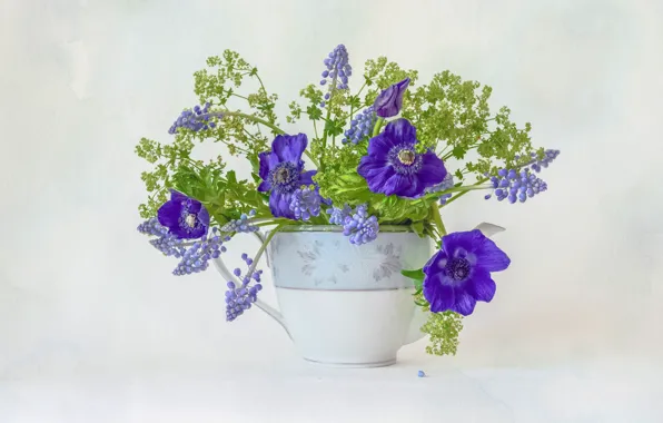Picture purple, flowers, mug, bouquet, still life, anemones, Muscari, light background