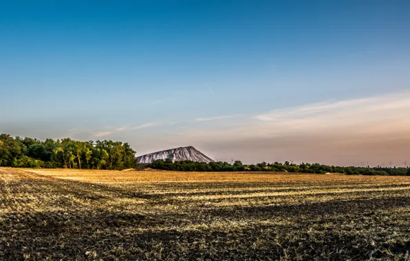 Picture field, nature, mountain, Nature, field, mountain