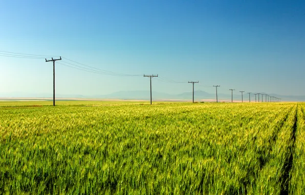 Field, mountains, field, mountains, power line, power lines