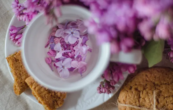 Wallpaper flowers, lilac, spring