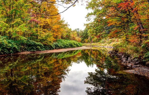 Picture autumn, forest, water, trees, reflection, river, stones, UK