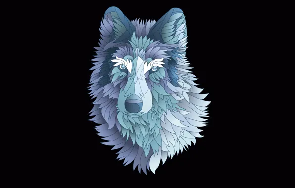 The dark background, wolf, minimalism, wolf