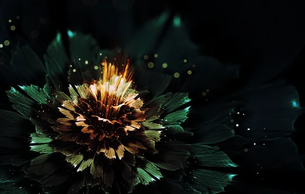 Picture flower, rays, light, abstraction, lights, graphics, glow, bokeh
