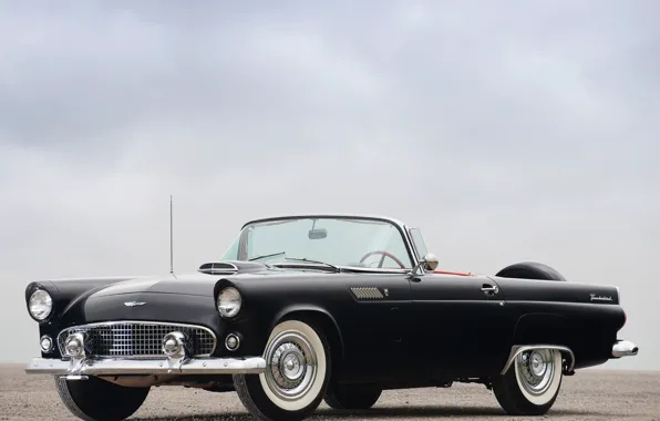 Picture Black, Ford, Thunderbird
