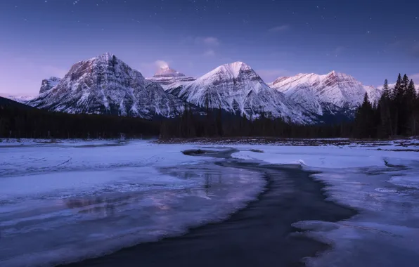 Winter, forest, water, snow, landscape, mountains, night, lake