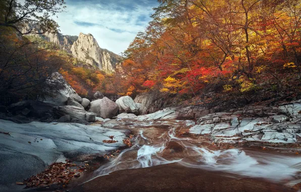 Picture South Korea, autumn, River, Seoraksan national park