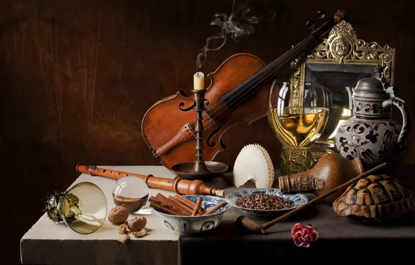 Violin, glass, turtle, candle, shell, still life, carnation, spices