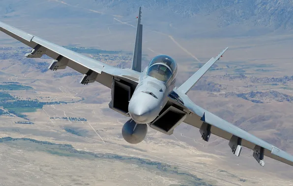 Picture fighter, cabin, pilot, multipurpose, Hornet, CF-18