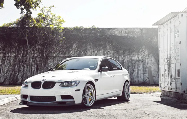 Picture white, tree, bmw, BMW, the fence, container, white, wheels