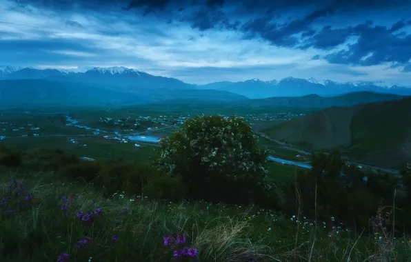 Picture flowers, mountains, river, the evening, valley, Kyrgyzstan, Garrotxa n