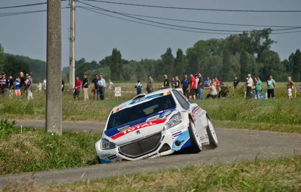 Road, grass, asphalt, trees, post, turn, rally, Peugeot