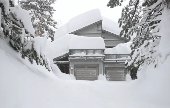 Nature, Winter, Trees, Nature, Winter, Trees, Snow House, Snow House