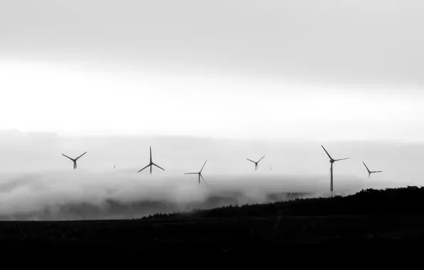 Picture nature, fog, windmills