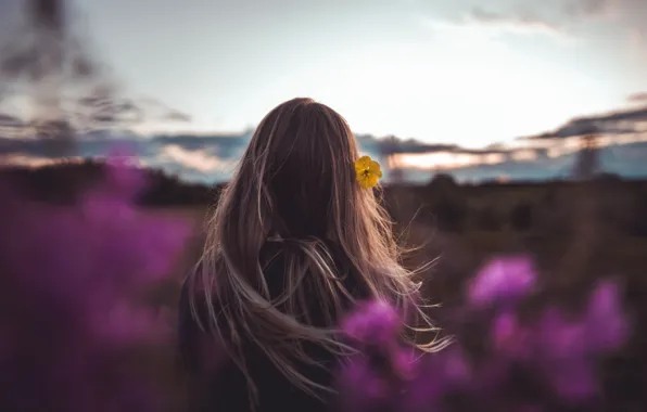 BLONDE, HAIR, HORIZON, The SKY, FIELD, FLOWER, MOOD