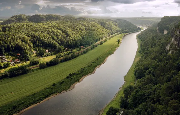 River, Forest, Shore