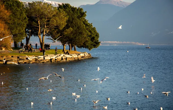Lake, Switzerland, Maggiore, Locarno