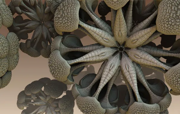 Flower, fiction, the volume, symmetry