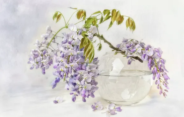 Glass, leaves, water, flowers, background, bouquet, branch, petals