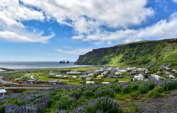 Picture sea, flowers, mountains, rocks, shore, home, village, house