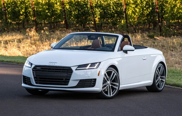 Audi, Audi, Roadster, Roadster, quattro, TFSI, US-spec, 2015
