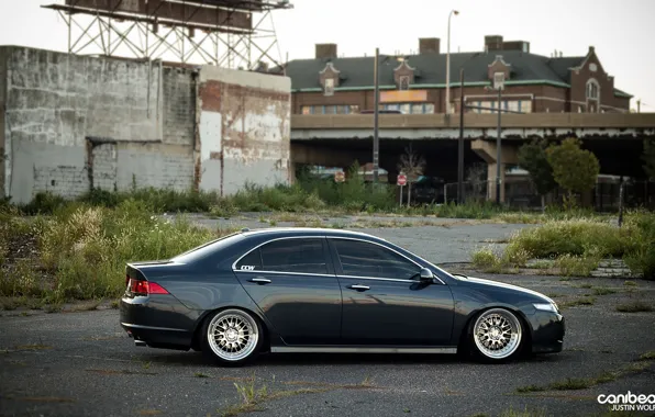 Tuning, drives, Acura, canibeat, Justin Wolfe, Acura TSX
