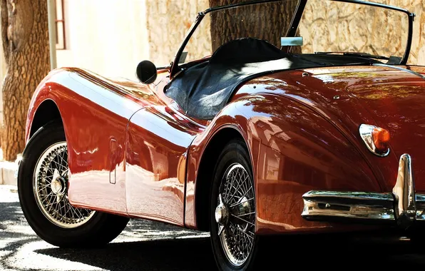 Machine, trees, red, Jaguar, XK120, side view