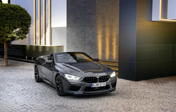 Picture BMW, convertible, 2019, BMW M8, M8, F91, M8 Competition Convertible, M8 Convertible