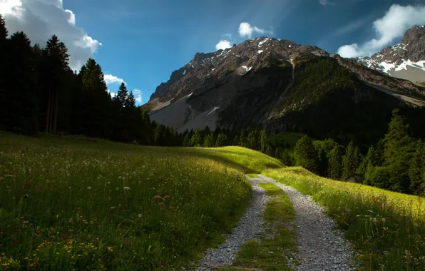 Road, forest, summer, the sky, grass, mountains, meadow, track