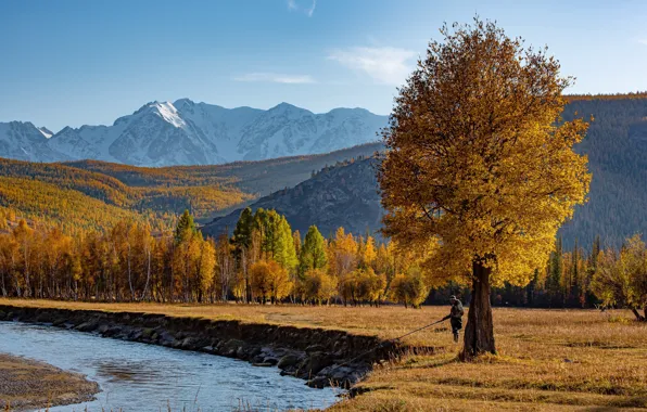 Picture autumn, landscape, mountains, nature, river, fisherman, Altay, Evgeny Drobotenko