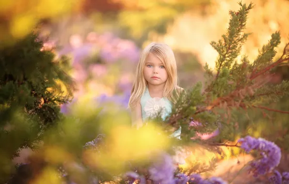 Picture nature, girl, bokeh, Glimpse of Spring