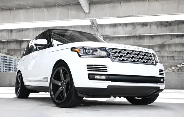 Picture wheels, Range Rover, black, with, Vossen, roof, gloss, lowered