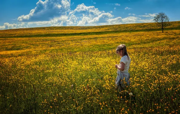 Field, summer, girl