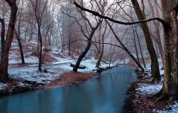 Picture winter, trees, river