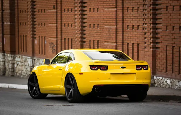 Road, Yellow, Chevrolet, Strip, Wheel, Ass, Muscle, Light