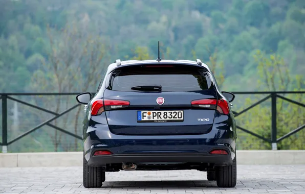 Road, forest, the fence, rear view, Fiat, universal, Tipo Combi