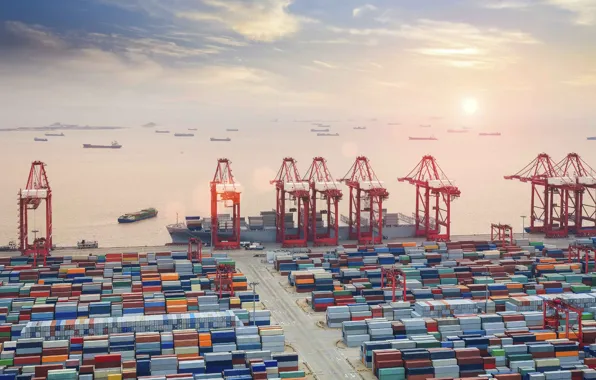 The ocean, Sea, Port, Court, The ship, Cranes, RAID, Container terminal