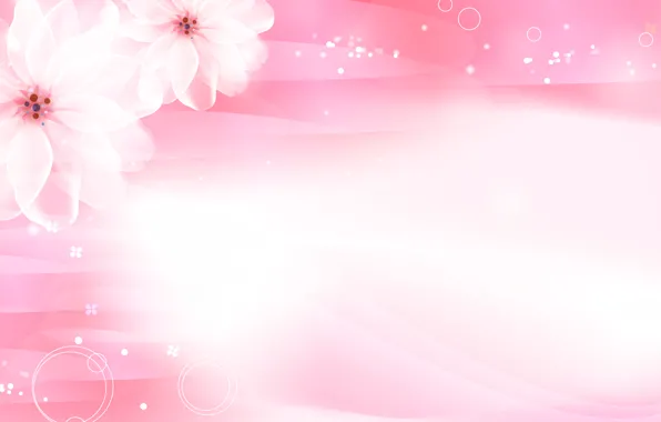 Picture flowers, pink, Sakura