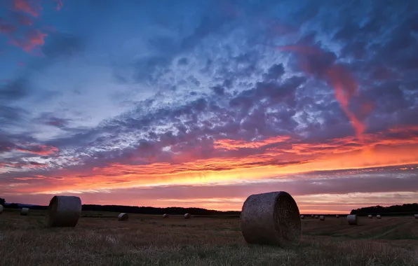 Field, landscape, sunset, hay