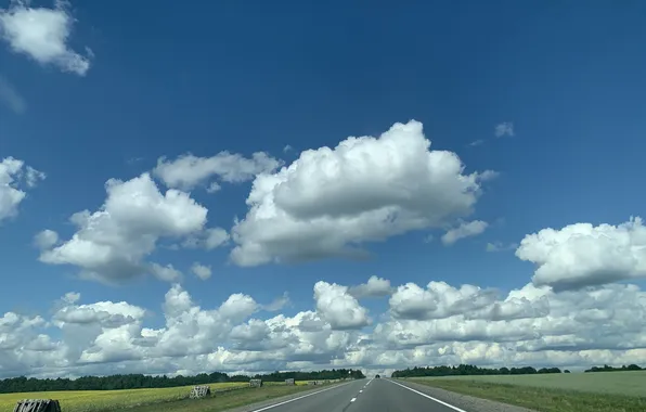 Road, Vologda