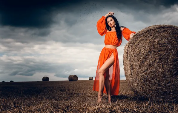 Picture field, girl, pose, skirt, brunette, the cut, hay, legs